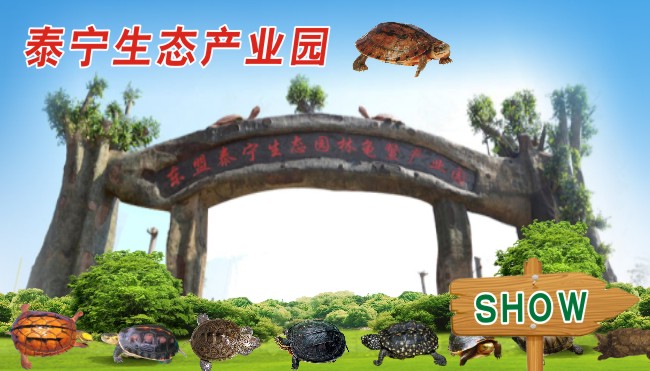 东盟泰宁龟鳖产业园,泰宁集团龟鳖产业园,泰宁集团农业开发项目