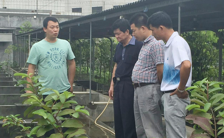 广东省龟鳖养殖协会副会长何枫强向在场人员介绍翠源养殖场